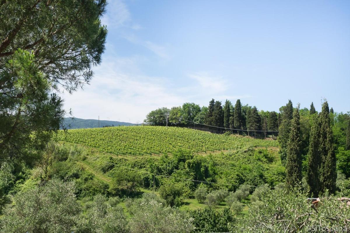 Agriturismo Terre Di Toscana Terricciola Exterior photo