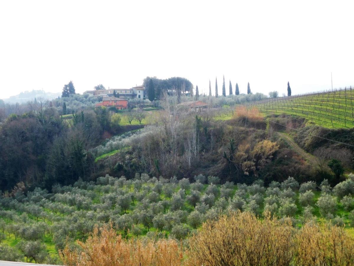 Agriturismo Terre Di Toscana Terricciola Exterior photo